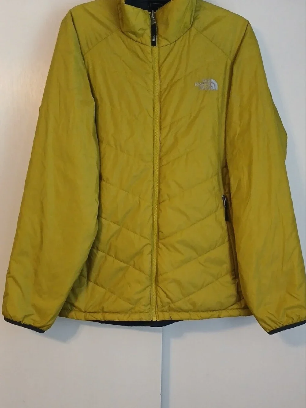 The North Face north face